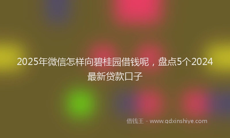 2025年微信怎样向碧桂园借钱呢，盘点5个2024最新贷款口子