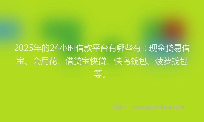 2025年的24小时借款平台有哪些有：现金贷易借宝、会用花、借贷宝快贷、快鸟钱包、菠萝钱包等。