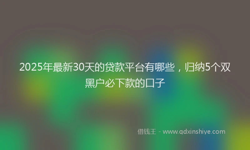 2025年最新30天的贷款平台有哪些，归纳5个双黑户必下款的口子