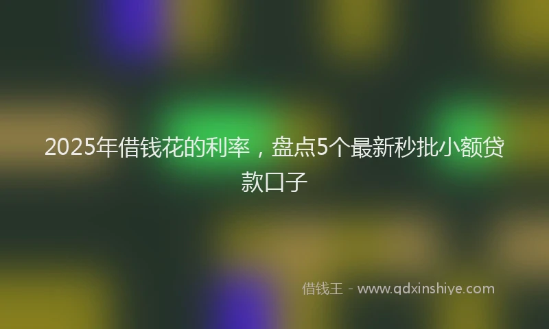 2025年借钱花的利率，盘点5个最新秒批小额贷款口子