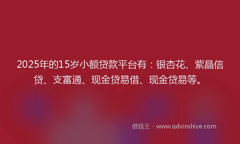 2025年的15岁小额贷款平台有：银杏花、紫晶信贷、支富通、现金贷易借、现金贷易等。
