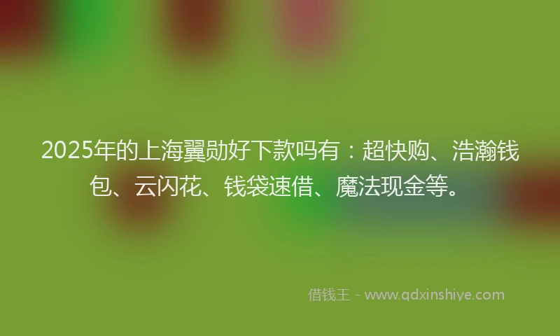 2025年的上海翼勋好下款吗有：超快购、浩瀚钱包、云闪花、钱袋速借、魔法现金等。