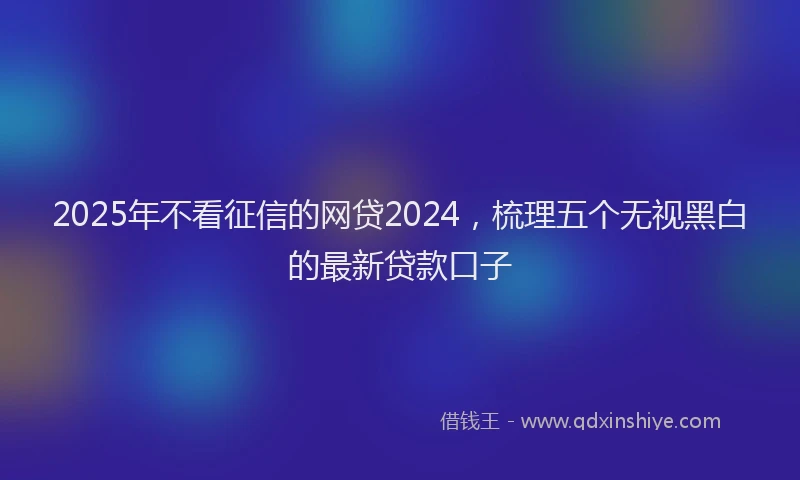 2025年不看征信的网贷2024，梳理五个无视黑白的最新贷款口子