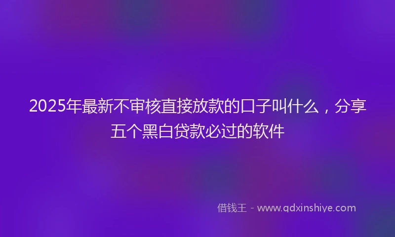 2025年最新不审核直接放款的口子叫什么，分享五个黑白贷款必过的软件