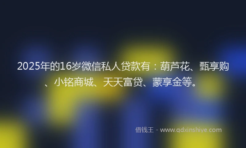 2025年的16岁微信私人贷款有：葫芦花、甄享购、小铭商城、天天富贷、蒙享金等。