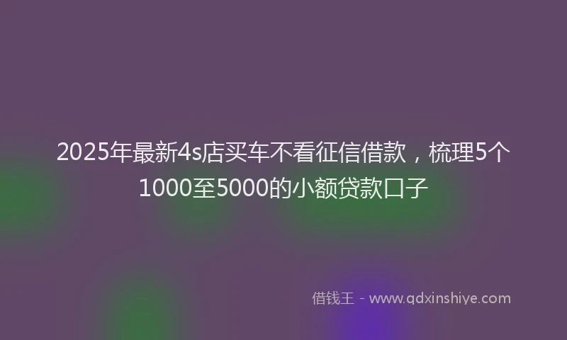2025年最新4s店买车不看征信借款，梳理5个1000至5000的小额贷款口子
