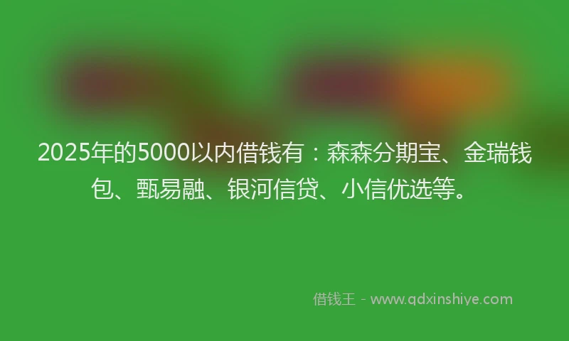 2025年的5000以内借钱有：森森分期宝、金瑞钱包、甄易融、银河信贷、小信优选等。