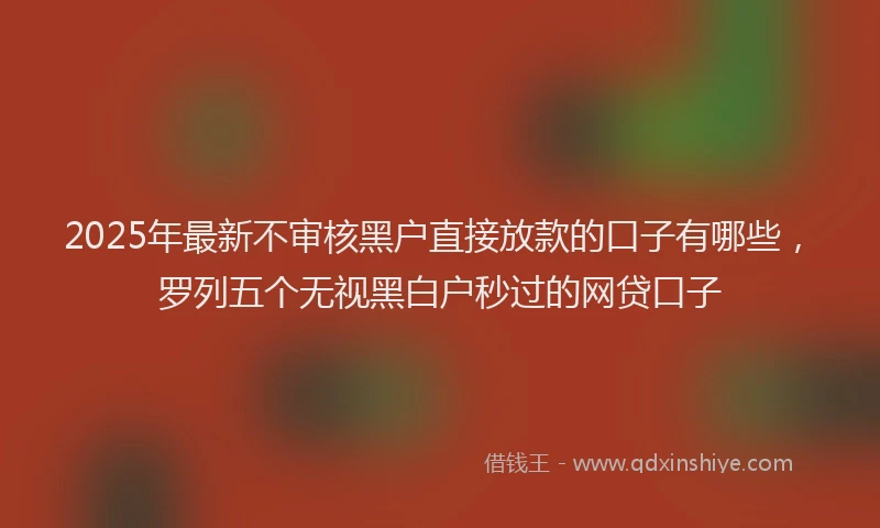 2025年最新不审核黑户直接放款的口子有哪些，罗列五个无视黑白户秒过的网贷口子