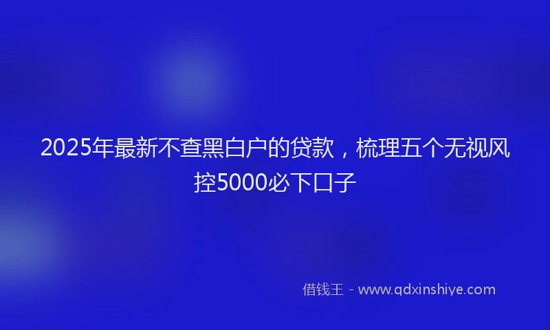 2025年最新不查黑白户的贷款，梳理五个无视风控5000必下口子