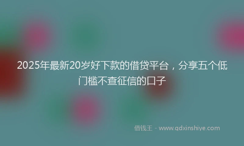 2025年最新20岁好下款的借贷平台，分享五个低门槛不查征信的口子