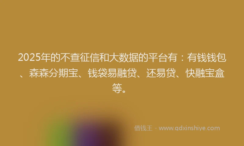 2025年的不查征信和大数据的平台有：有钱钱包、森森分期宝、钱袋易融贷、还易贷、快融宝盒等。