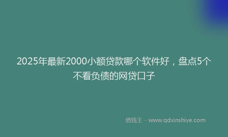 2025年最新2000小额贷款哪个软件好，盘点5个不看负债的网贷口子