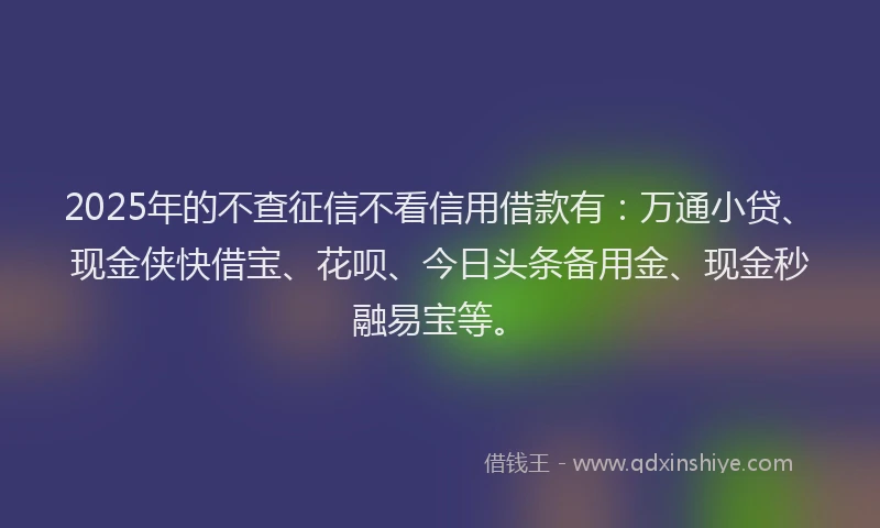 2025年的不查征信不看信用借款有：万通小贷、现金侠快借宝、花呗、今日头条备用金、现金秒融易宝等。