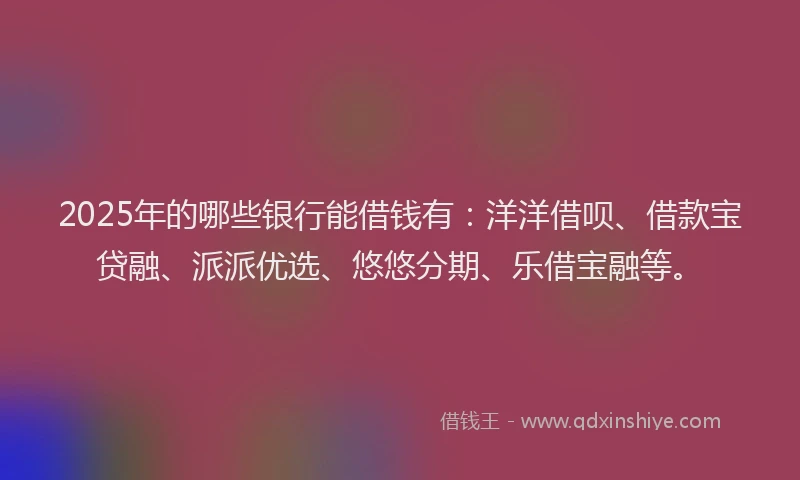 2025年的哪些银行能借钱有：洋洋借呗、借款宝贷融、派派优选、悠悠分期、乐借宝融等。