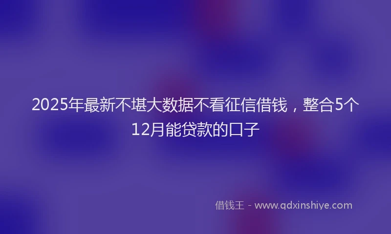 2025年最新不堪大数据不看征信借钱，整合5个12月能贷款的口子