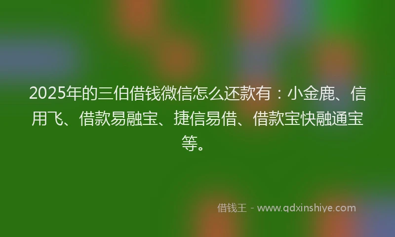 2025年的三伯借钱微信怎么还款有：小金鹿、信用飞、借款易融宝、捷信易借、借款宝快融通宝等。