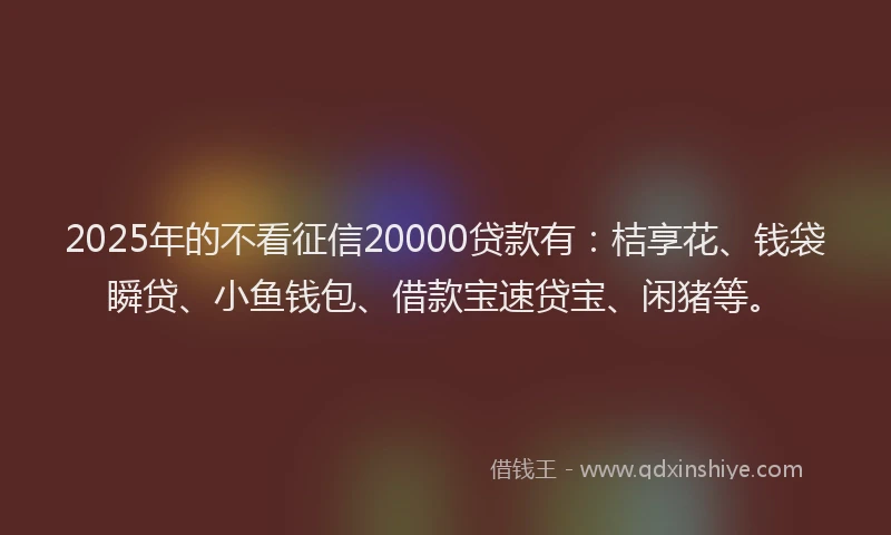 2025年的不看征信20000贷款有：桔享花、钱袋瞬贷、小鱼钱包、借款宝速贷宝、闲猪等。