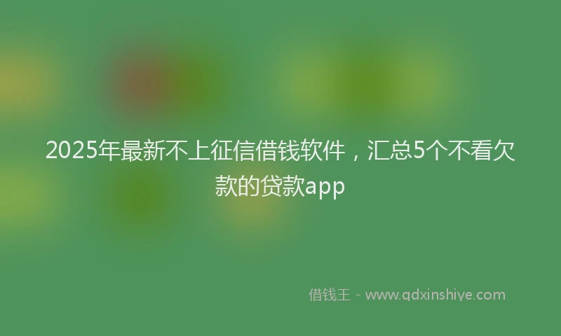 2025年最新不上征信借钱软件，汇总5个不看欠款的贷款app