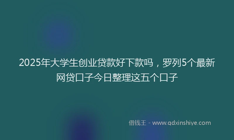 2025年大学生创业贷款好下款吗，罗列5个最新网贷口子今日整理这五个口子