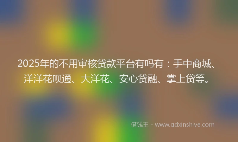 2025年的不用审核贷款平台有吗有：手中商城、洋洋花呗通、大洋花、安心贷融、掌上贷等。