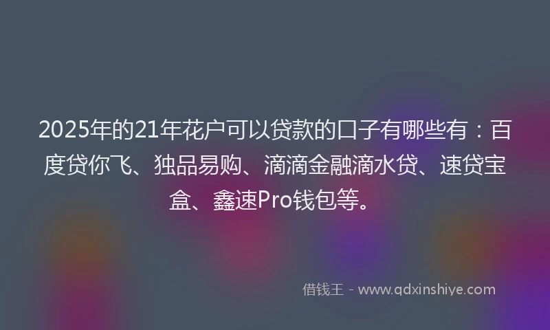 2025年的21年花户可以贷款的口子有哪些有：百度贷你飞、独品易购、滴滴金融滴水贷、速贷宝盒、鑫速Pro钱包等。