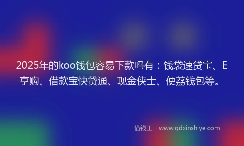 2025年的koo钱包容易下款吗有：钱袋速贷宝、E享购、借款宝快贷通、现金侠士、便荔钱包等。