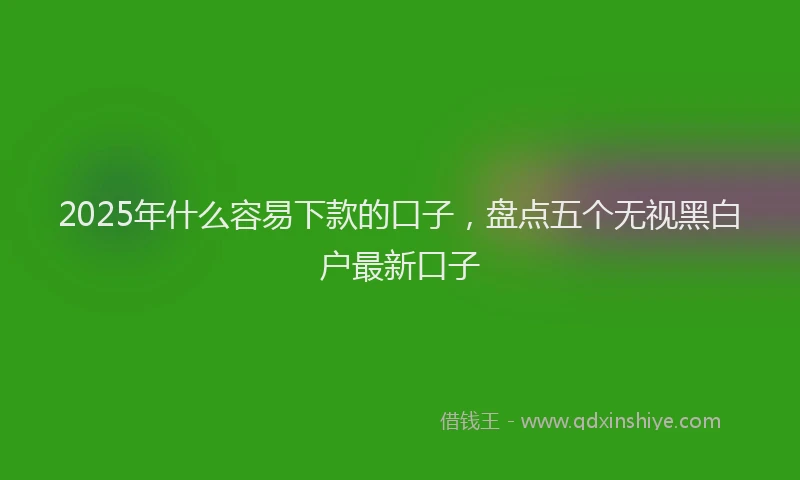 2025年什么容易下款的口子，盘点五个无视黑白户最新口子
