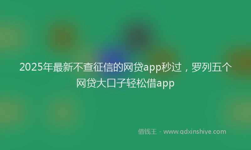 2025年最新不查征信的网贷app秒过，罗列五个网贷大口子轻松借app