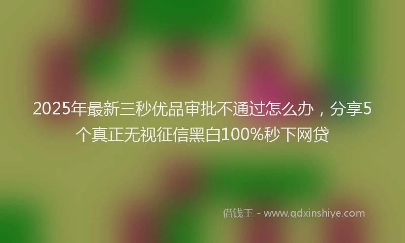 2025年最新三秒优品审批不通过怎么办，分享5个真正无视征信黑白100%秒下网贷
