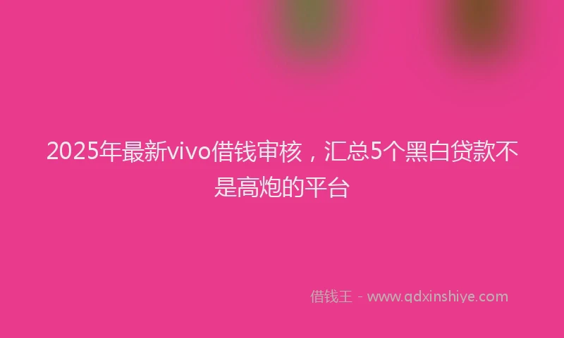 2025年最新vivo借钱审核，汇总5个黑白贷款不是高炮的平台