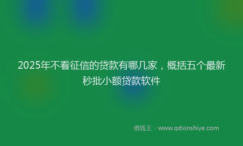 2025年不看征信的贷款有哪几家，概括五个最新秒批小额贷款软件