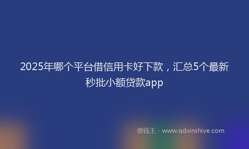 2025年哪个平台借信用卡好下款，汇总5个最新秒批小额贷款app