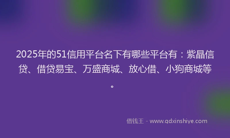 2025年的51信用平台名下有哪些平台有：紫晶信贷、借贷易宝、万盛商城、放心借、小狗商城等。