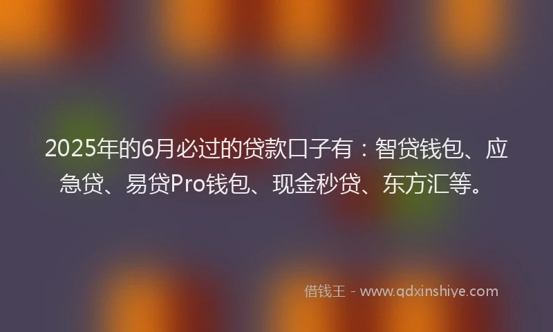 2025年的6月必过的贷款口子有：智贷钱包、应急贷、易贷Pro钱包、现金秒贷、东方汇等。
