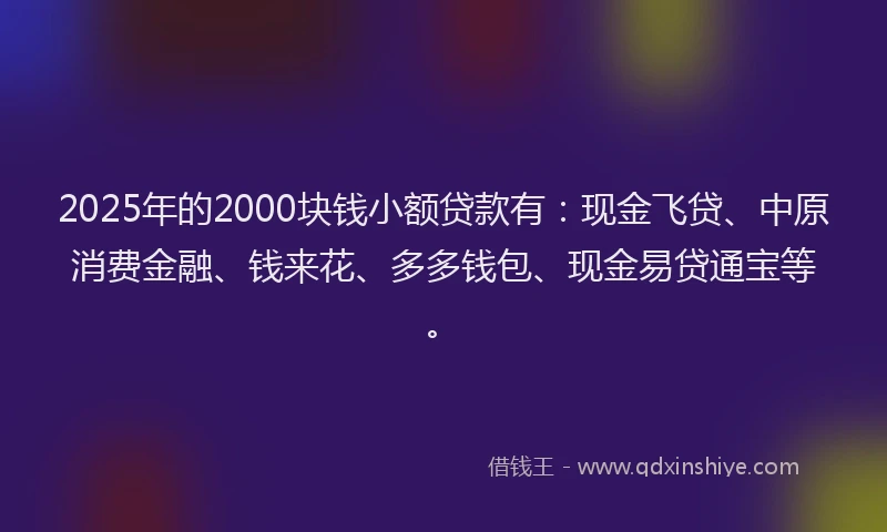 2025年的2000块钱小额贷款有：现金飞贷、中原消费金融、钱来花、多多钱包、现金易贷通宝等。