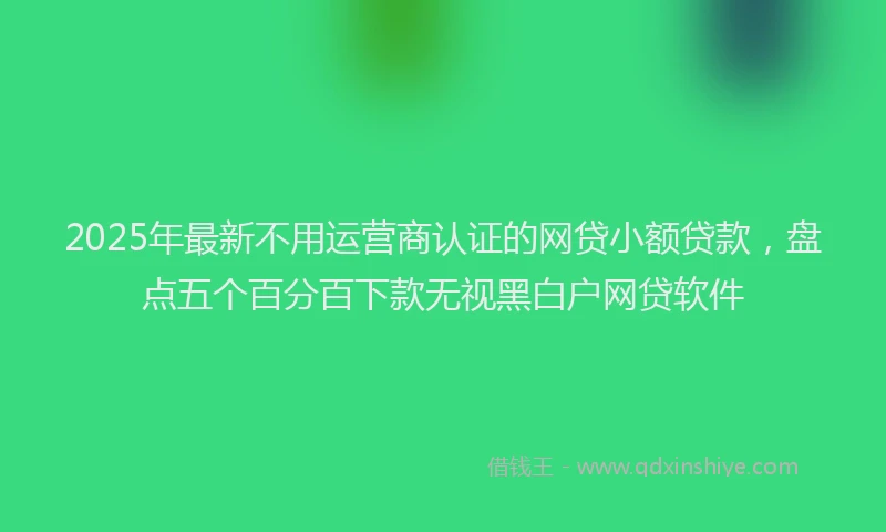 2025年最新不用运营商认证的网贷小额贷款，盘点五个百分百下款无视黑白户网贷软件