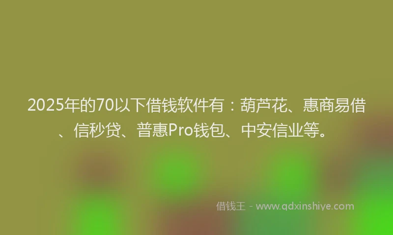 2025年的70以下借钱软件有：葫芦花、惠商易借、信秒贷、普惠Pro钱包、中安信业等。