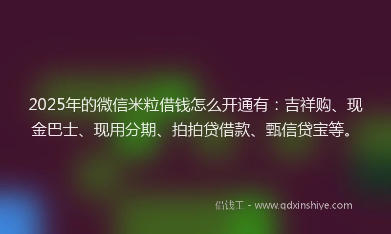2025年的微信米粒借钱怎么开通有：吉祥购、现金巴士、现用分期、拍拍贷借款、甄信贷宝等。