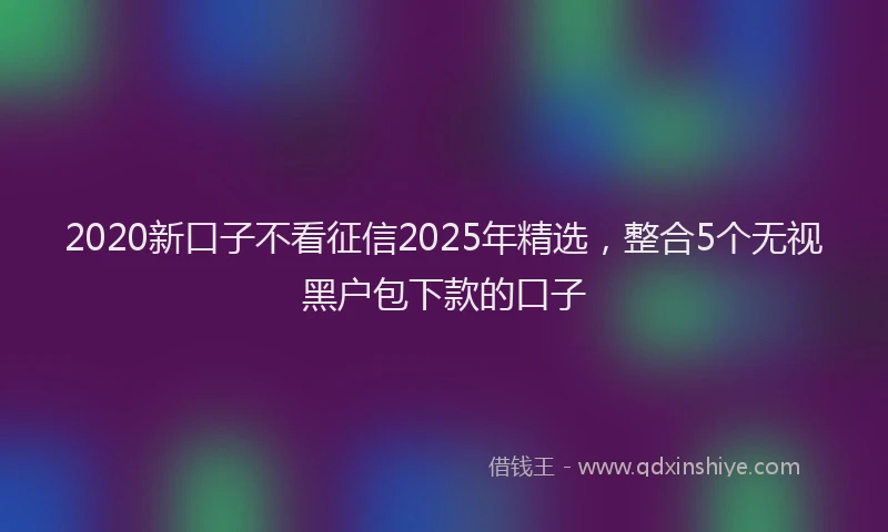 2020新口子不看征信2025年精选，整合5个无视黑户包下款的口子