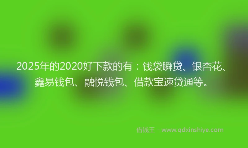 2025年的2020好下款的有：钱袋瞬贷、银杏花、鑫易钱包、融悦钱包、借款宝速贷通等。