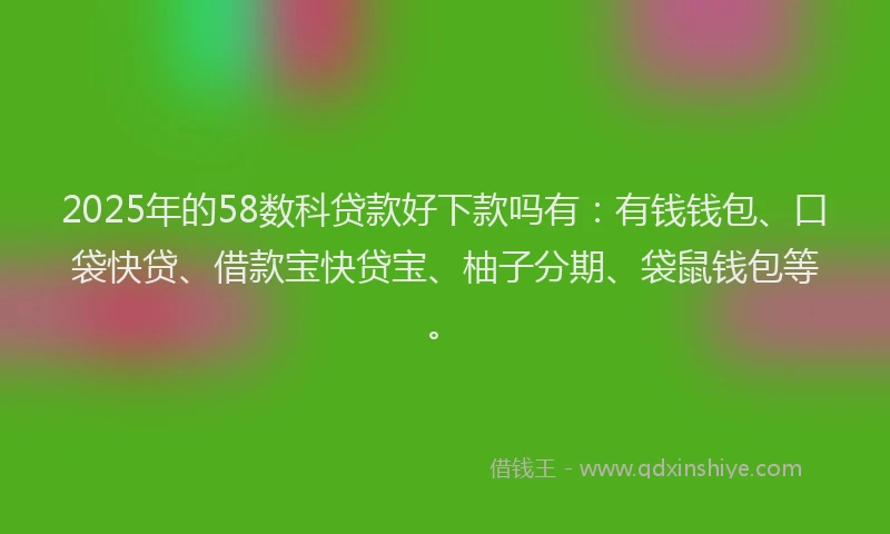 2025年的58数科贷款好下款吗有：有钱钱包、口袋快贷、借款宝快贷宝、柚子分期、袋鼠钱包等。