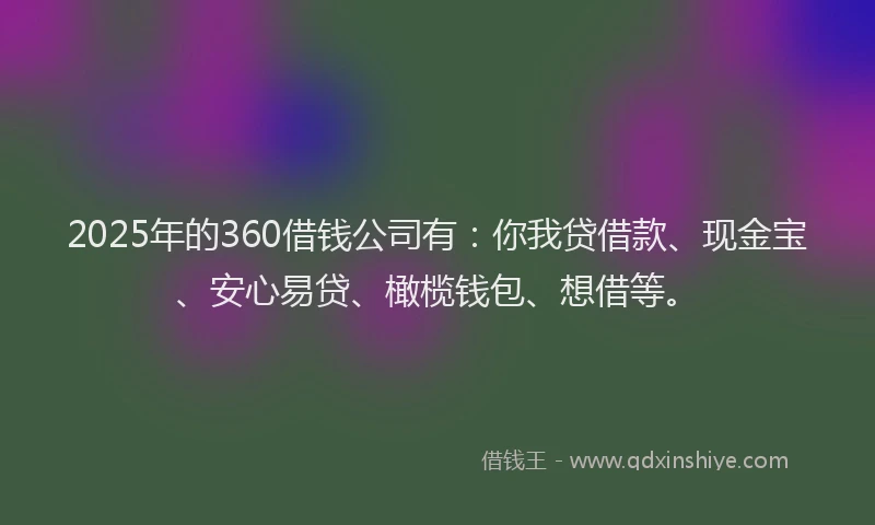 2025年的360借钱公司有：你我贷借款、现金宝、安心易贷、橄榄钱包、想借等。