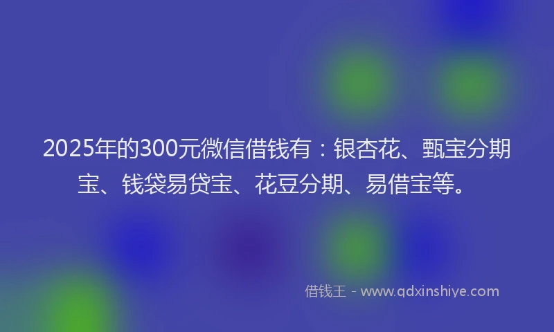 2025年的300元微信借钱有：银杏花、甄宝分期宝、钱袋易贷宝、花豆分期、易借宝等。