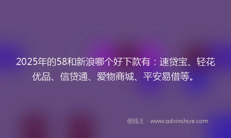2025年的58和新浪哪个好下款有：速贷宝、轻花优品、信贷通、爱物商城、平安易借等。