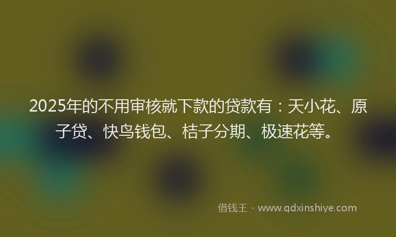 2025年的不用审核就下款的贷款有：天小花、原子贷、快鸟钱包、桔子分期、极速花等。