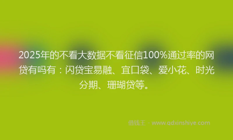 2025年的不看大数据不看征信100%通过率的网贷有吗有：闪贷宝易融、宜口袋、爱小花、时光分期、珊瑚贷等。