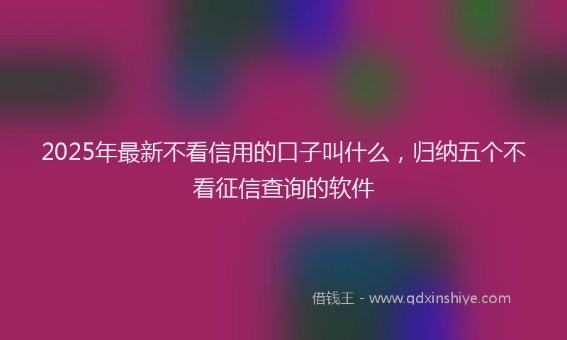 2025年最新不看信用的口子叫什么，归纳五个不看征信查询的软件