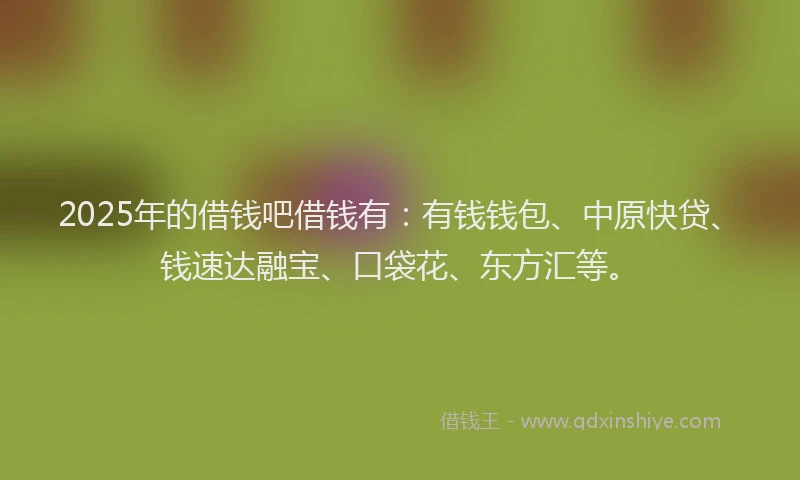 2025年的借钱吧借钱有：有钱钱包、中原快贷、钱速达融宝、口袋花、东方汇等。
