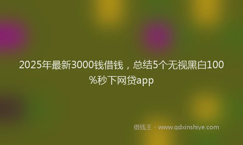 2025年最新3000钱借钱，总结5个无视黑白100%秒下网贷app