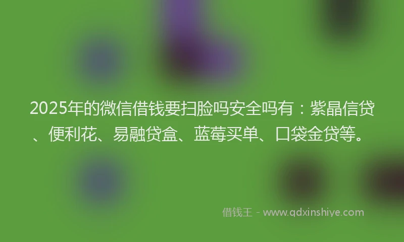 2025年的微信借钱要扫脸吗安全吗有：紫晶信贷、便利花、易融贷盒、蓝莓买单、口袋金贷等。